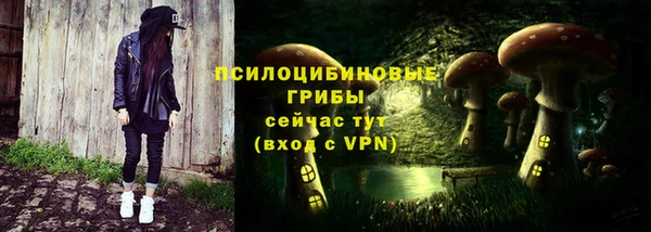мет Арсеньев