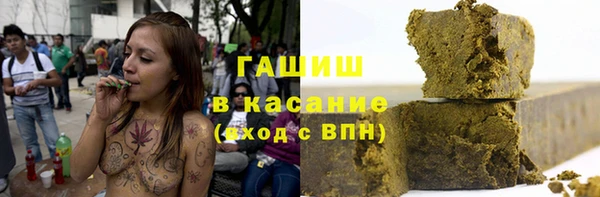 индика Алзамай
