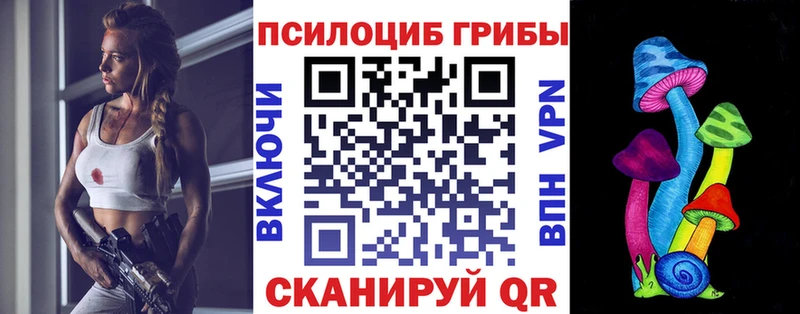 это телеграм  Собинка  Псилоцибиновые грибы Psilocybine cubensis 